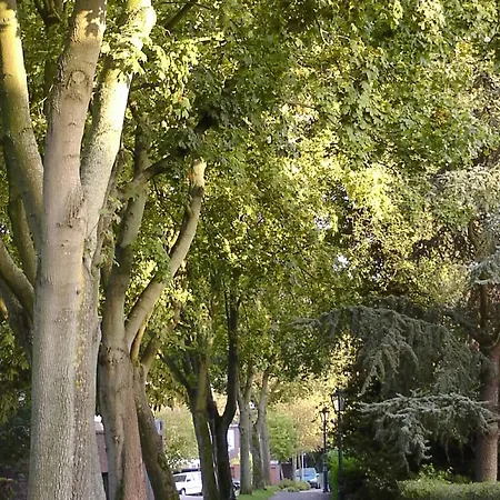 Appartement Zum Suederwall Esens